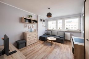 Zgoda City Centre Apartment